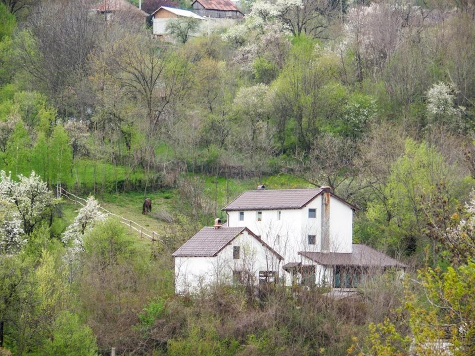 Casa Piscul Lupului Villa Pucioasa Luaran gambar