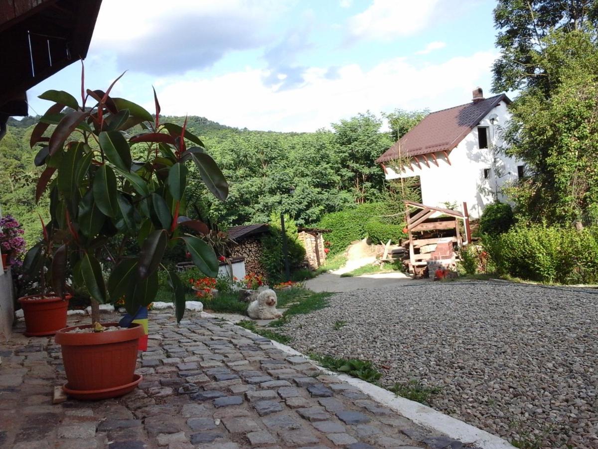 Casa Piscul Lupului Villa Pucioasa Luaran gambar