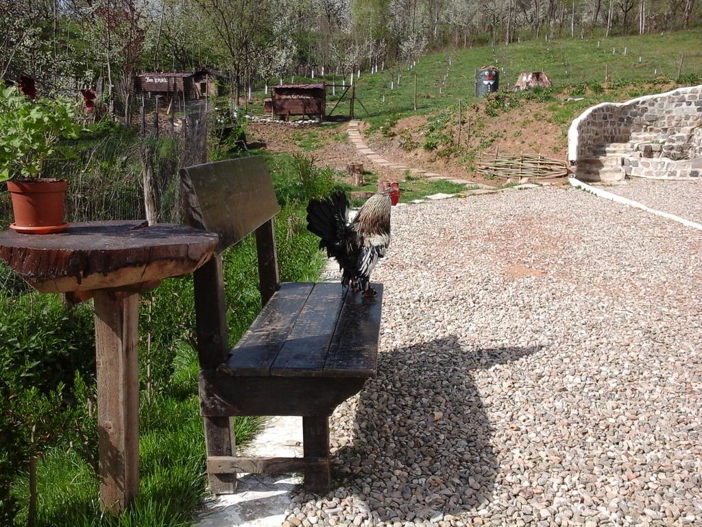 Casa Piscul Lupului Villa Pucioasa Luaran gambar